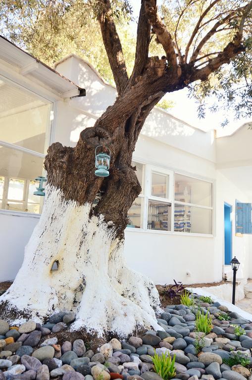 Misket Hotel Bodrum 古穆斯卢克 外观 照片