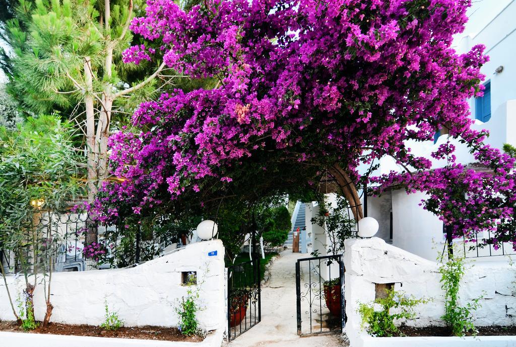 Misket Hotel Bodrum 古穆斯卢克 外观 照片